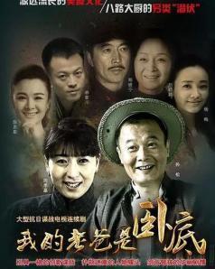 我的老爸是卧底